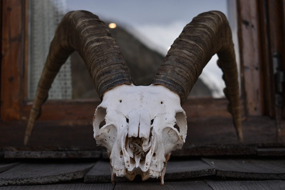 Fotografia di Martina Zamberlan, corsista di Officinazero6